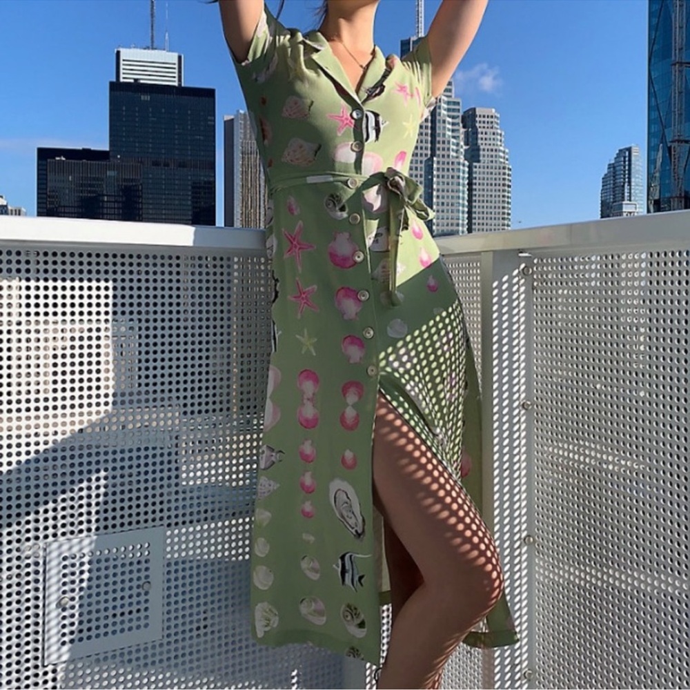 Aritzia Seashell Buttoned Dress